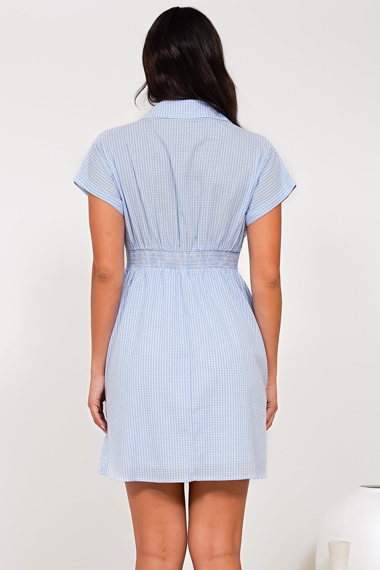 Lilla Mini Dress - Collared Buttoned Down A-Line Dress in Gingham Blue