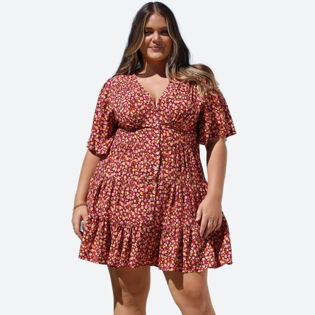 Curve Collection