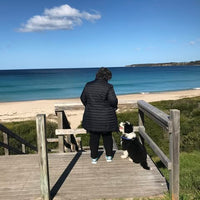 Liz (Verified Buyer)