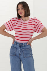 Alden Knit Top: Relaxed Striped Crew Neck Top in Pink