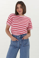 Alden Knit Top: Relaxed Striped Crew Neck Top in Pink