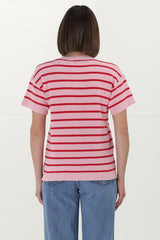 Alden Knit Top: Relaxed Striped Crew Neck Top in Pink