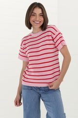 Alden Knit Top: Relaxed Striped Crew Neck Top in Pink