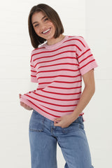 Alden Knit Top: Relaxed Striped Crew Neck Top in Pink