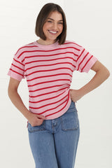 Alden Knit Top: Relaxed Striped Crew Neck Top in Pink