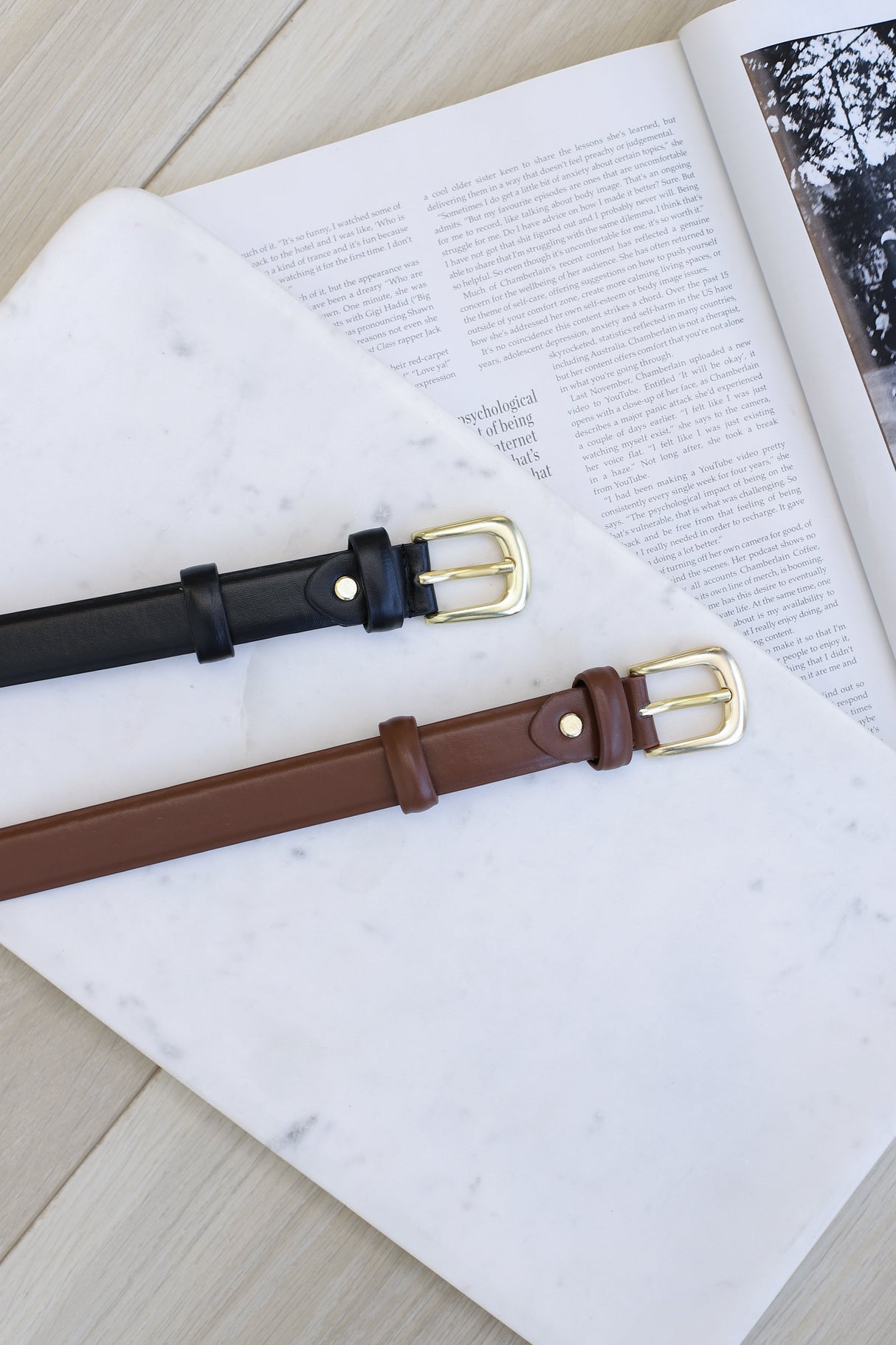 Cruz PU Leather Gold Buckle Thin Belt Set - Black/Brown
