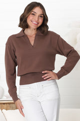 Jamerson Jumper - Collared V Neck Ribbed Hem Jumper in Brown