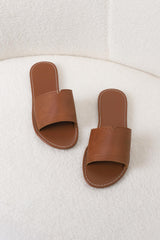 Gael Slides - Brown