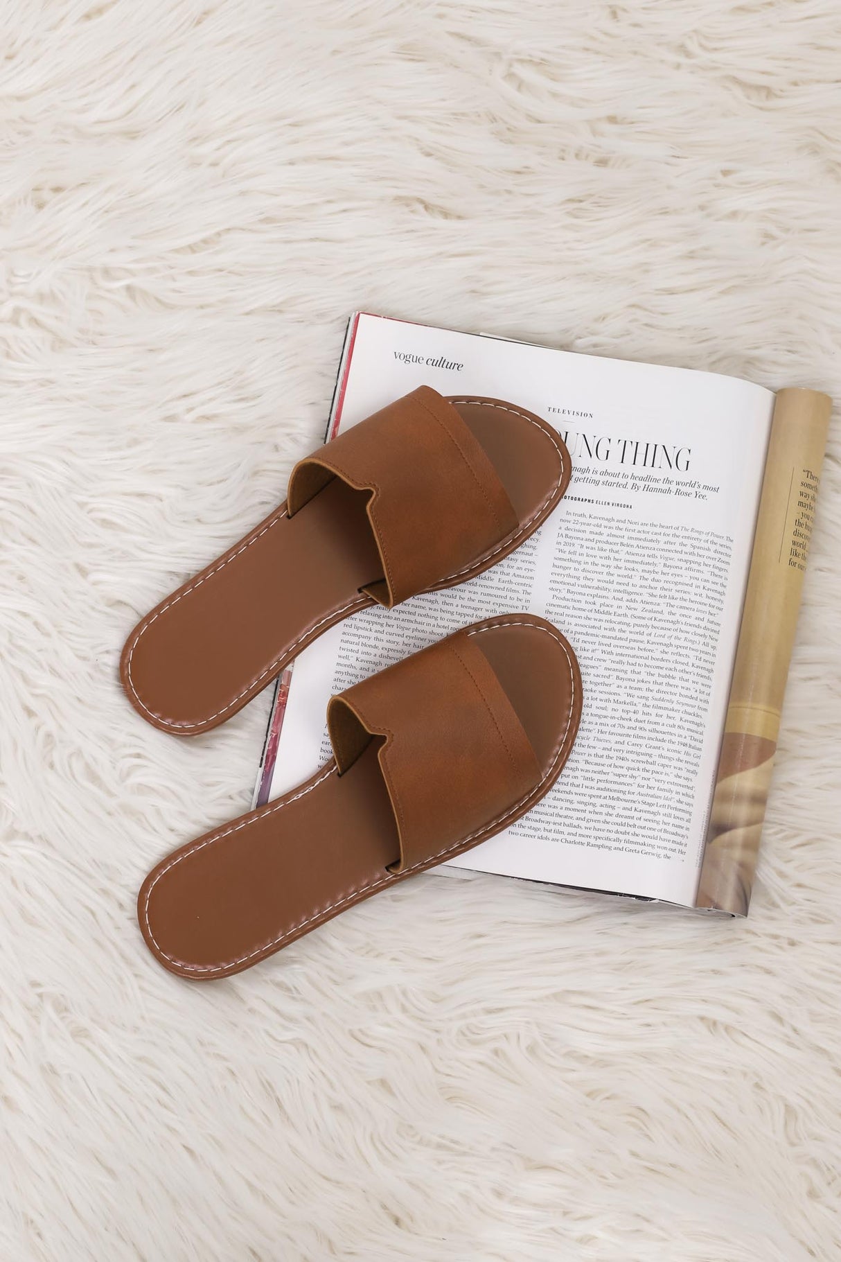 Gael Slides - Brown