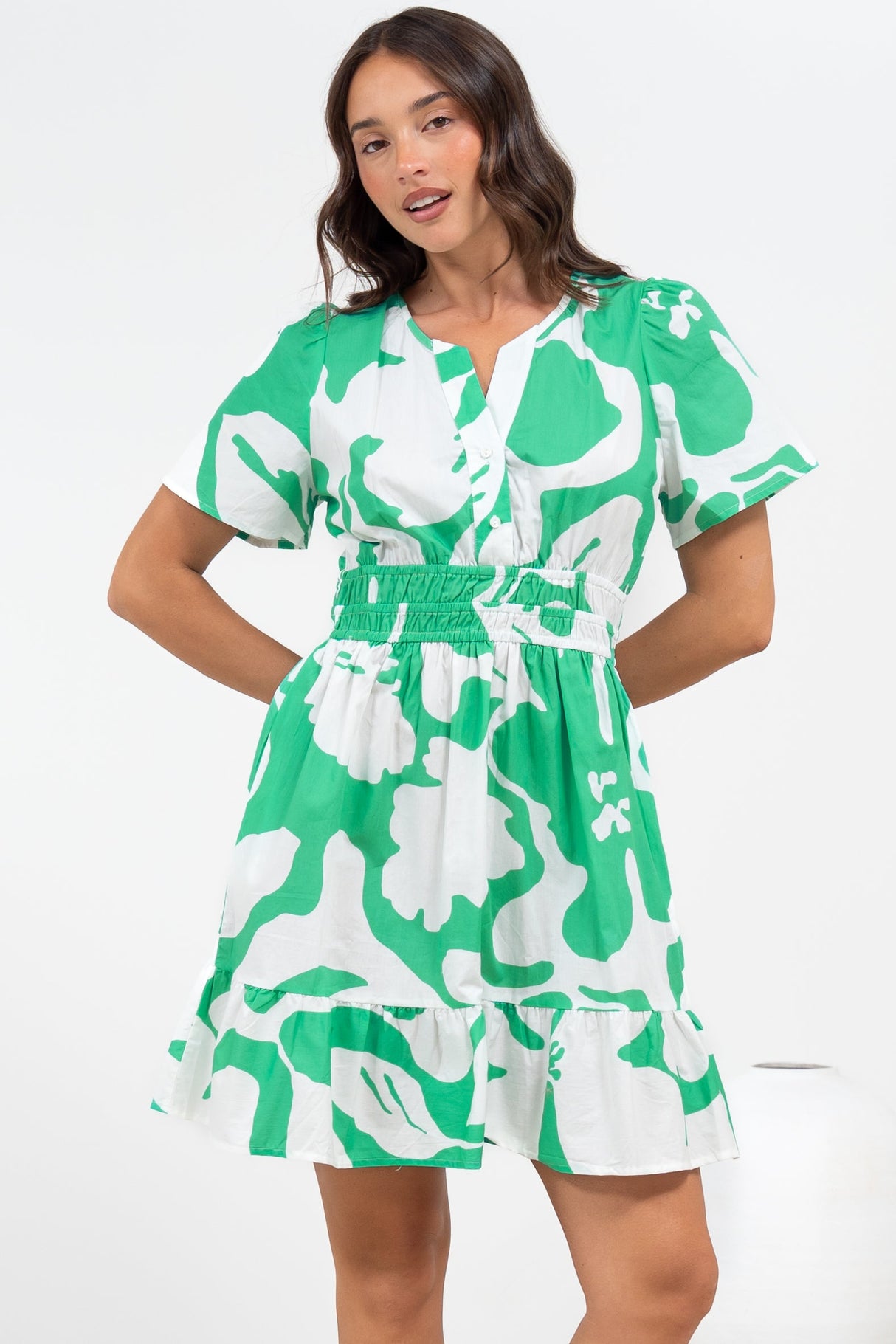 Larosa Mini Dress - Stand Collar A-Line Dress with Buttoned Bodice in Sloane Print Green