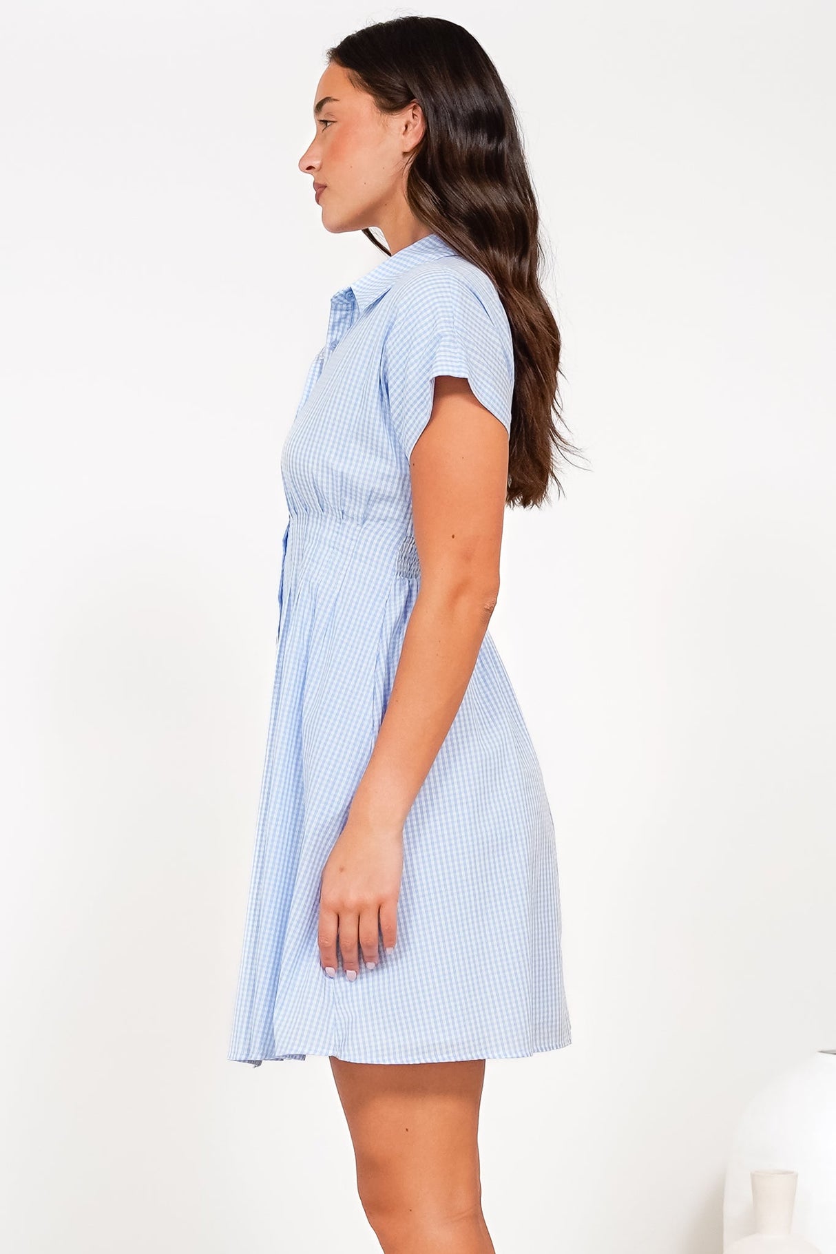Lilla Mini Dress - Collared Buttoned Down A-Line Dress in Gingham Blue