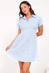 Lilla Mini Dress - Collared Buttoned Down A-Line Dress in Gingham Blue