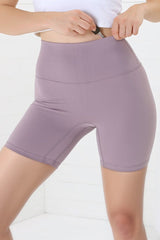 Axel Bike Shorts - Thick Highwaisted Band Bike Shorts in Mauve