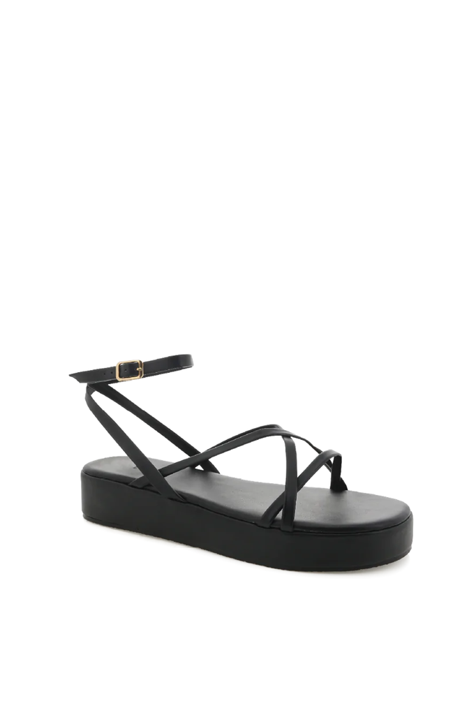 BILLINI | Gianni Sandals - Black | Salty Crush